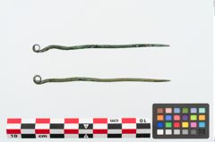Foto von Bronzerollenkopfnadel (NHMW-PRAE-025009)